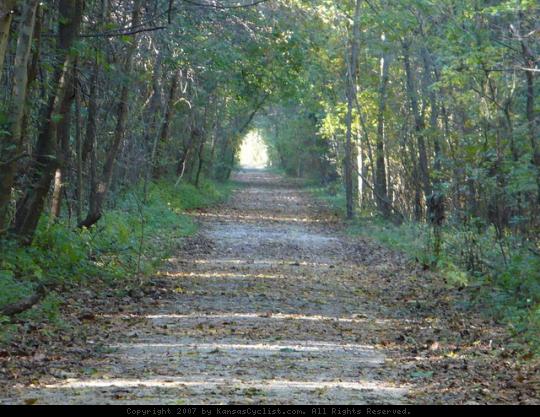 Flint Hills Nature Trail - Osawatomie - In places the trees overhang the trail making a green tunnel.