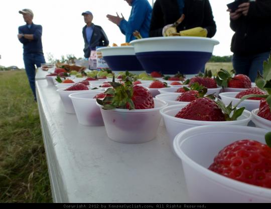 SAG Spread - A table full of strawberries, grapes, bananas, and other goodies await cyclists on the Kansas City Metro Bicycle Club's annual Spring Classic bicycle ride near Olathe, KS.