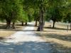 Lake Miola - Camping Area - This is one of the camping areas at Lake Miola. There are picnic tables, fire rings, grassy areas, and shade trees.