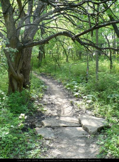 Shawnee Mission Park Trail - A very small stream crossing at the Shawnee Mission Park mountain bike trail system.