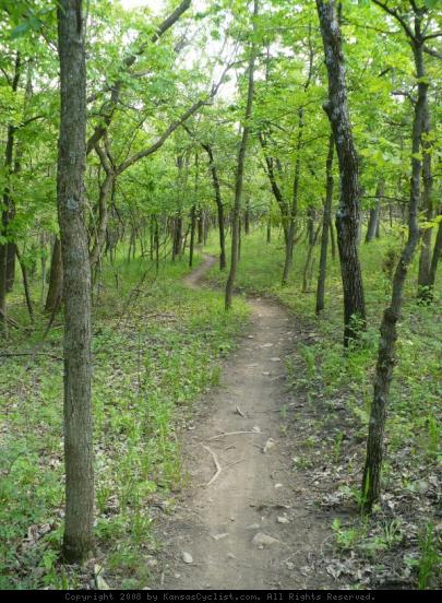 Shawnee Mission Park Trail - A fast and smooth section of the Shawnee Mission Park mountain bike trail system, running through the trees in early Spring.
