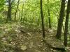 Shawnee Mission Park Trail - A rocky section of the Shawnee Mission Park mountain bike trail system.